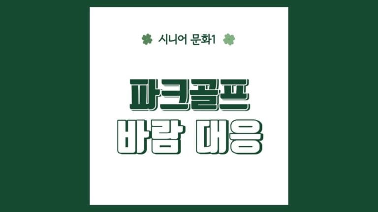 "파크골프 바람 대응" 텍스트가 강조된 썸네일